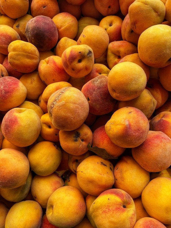 Quel matériel de pêche est conseillé pour un camping sur une île déserte ?
